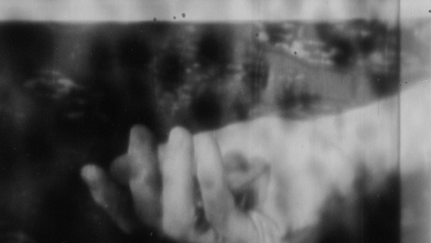 16mm Photogram 2